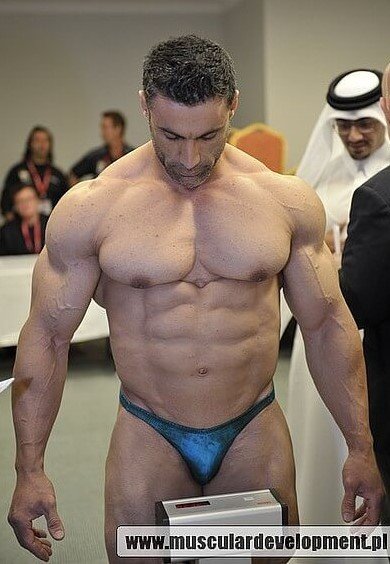 Ali Tabrizi Bodybuilder