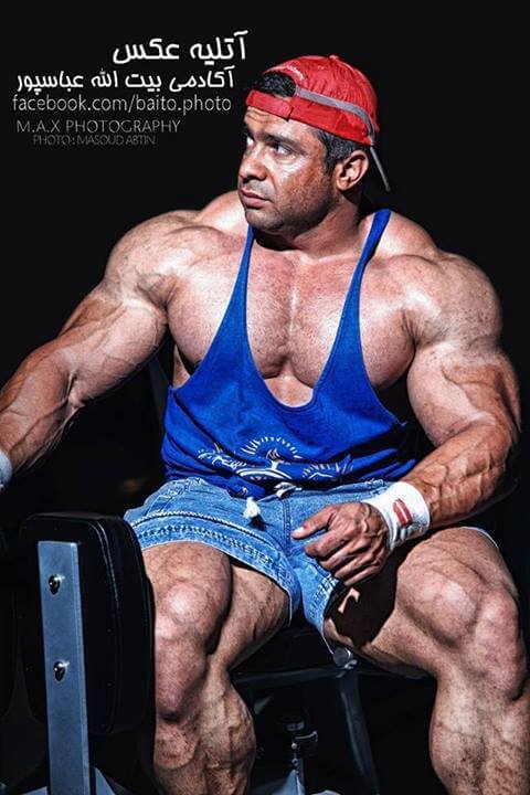 Baito Abbaspour Bodybuilder 