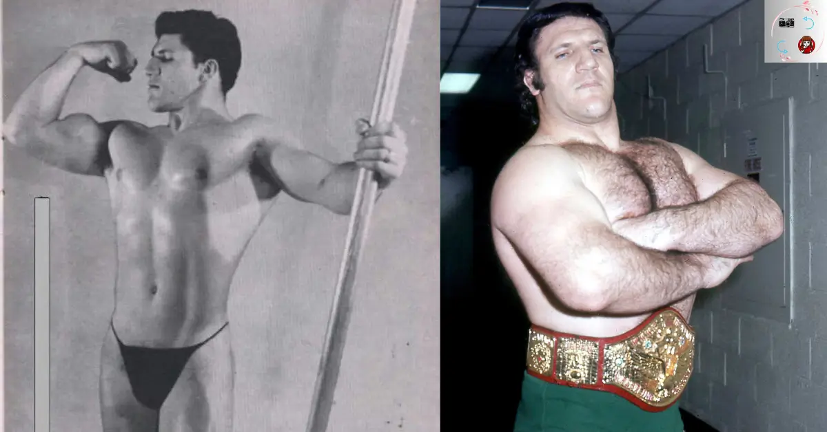 Bruno Sammartino Bodybuilder Then And Now