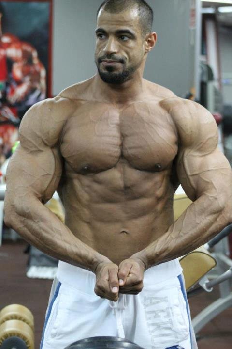 abdulhadi al-khayat bodybuilder
