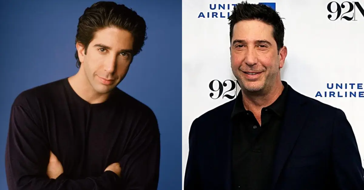 David Schwimmer Then and Now