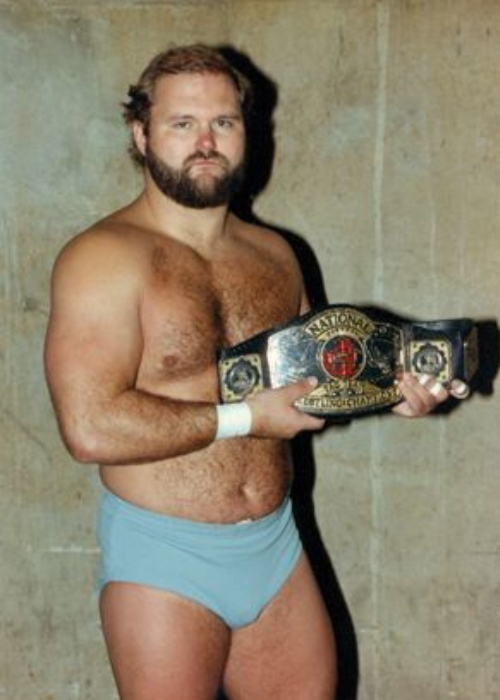 arn anderson wwe