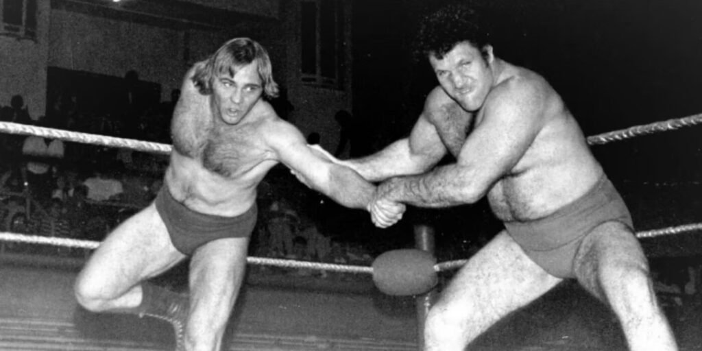 bruno sammartino wwe