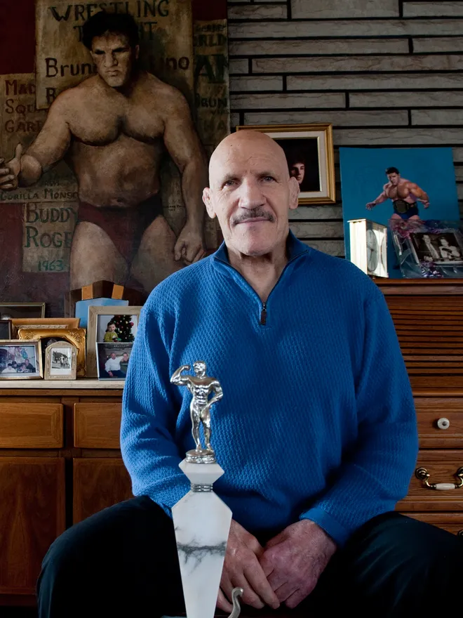 bruno sammartino art