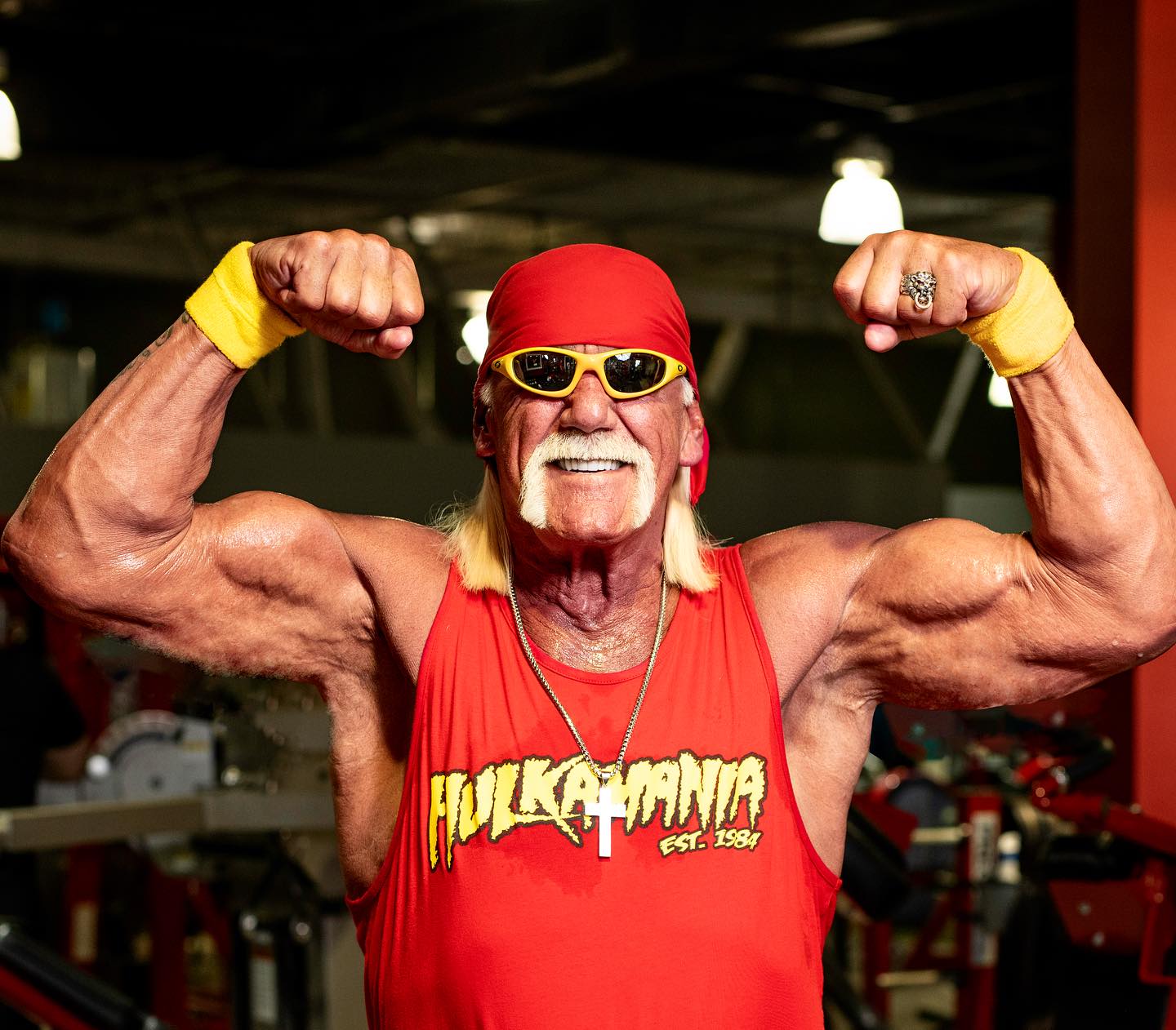 Hulk Hogan Then and Now