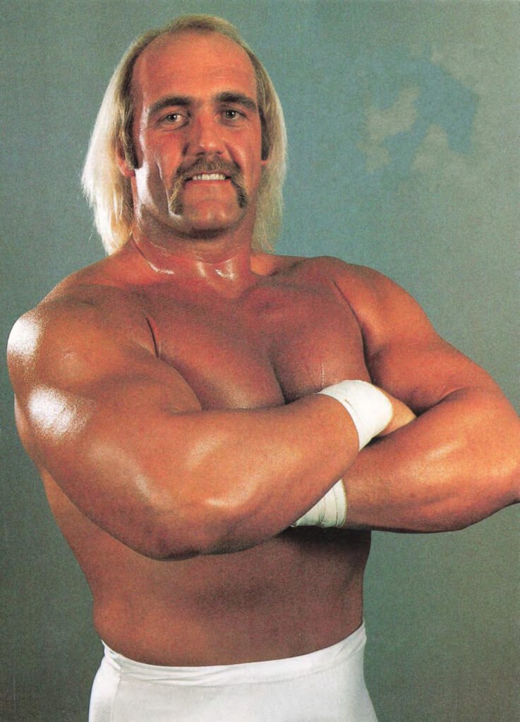 hulk hogan 80s