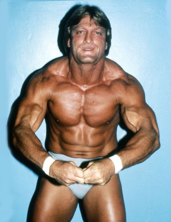 paul orndorff mr wonderful