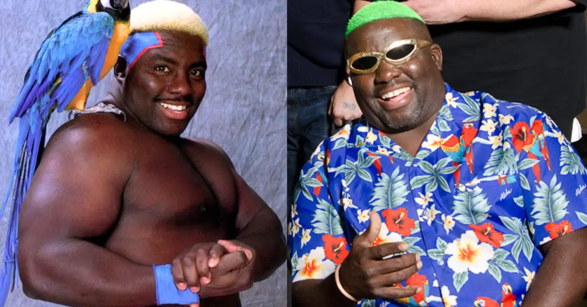 Koko B. Ware Then and Now