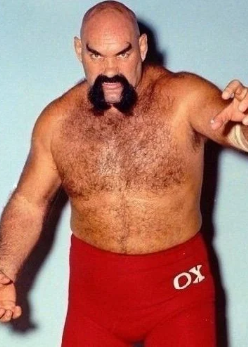 ox baker wwe 