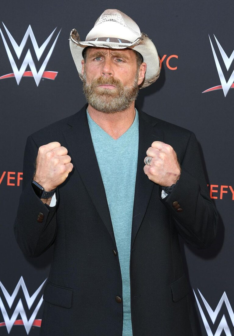 Shawn Michaels Then and Now