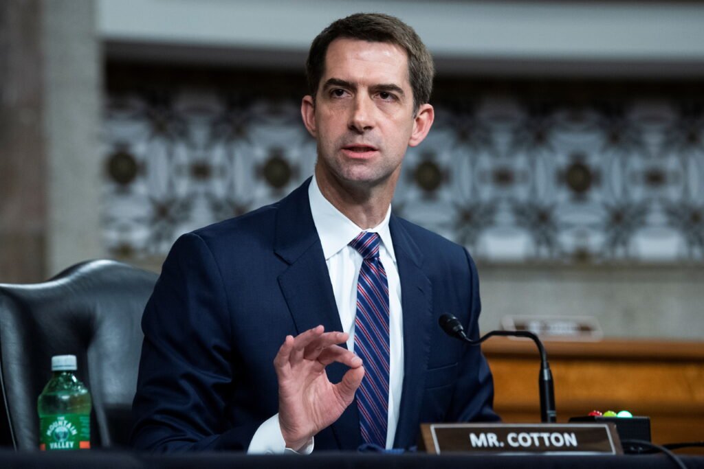 tom cotton career