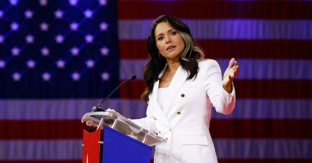 tulsi gabbard career