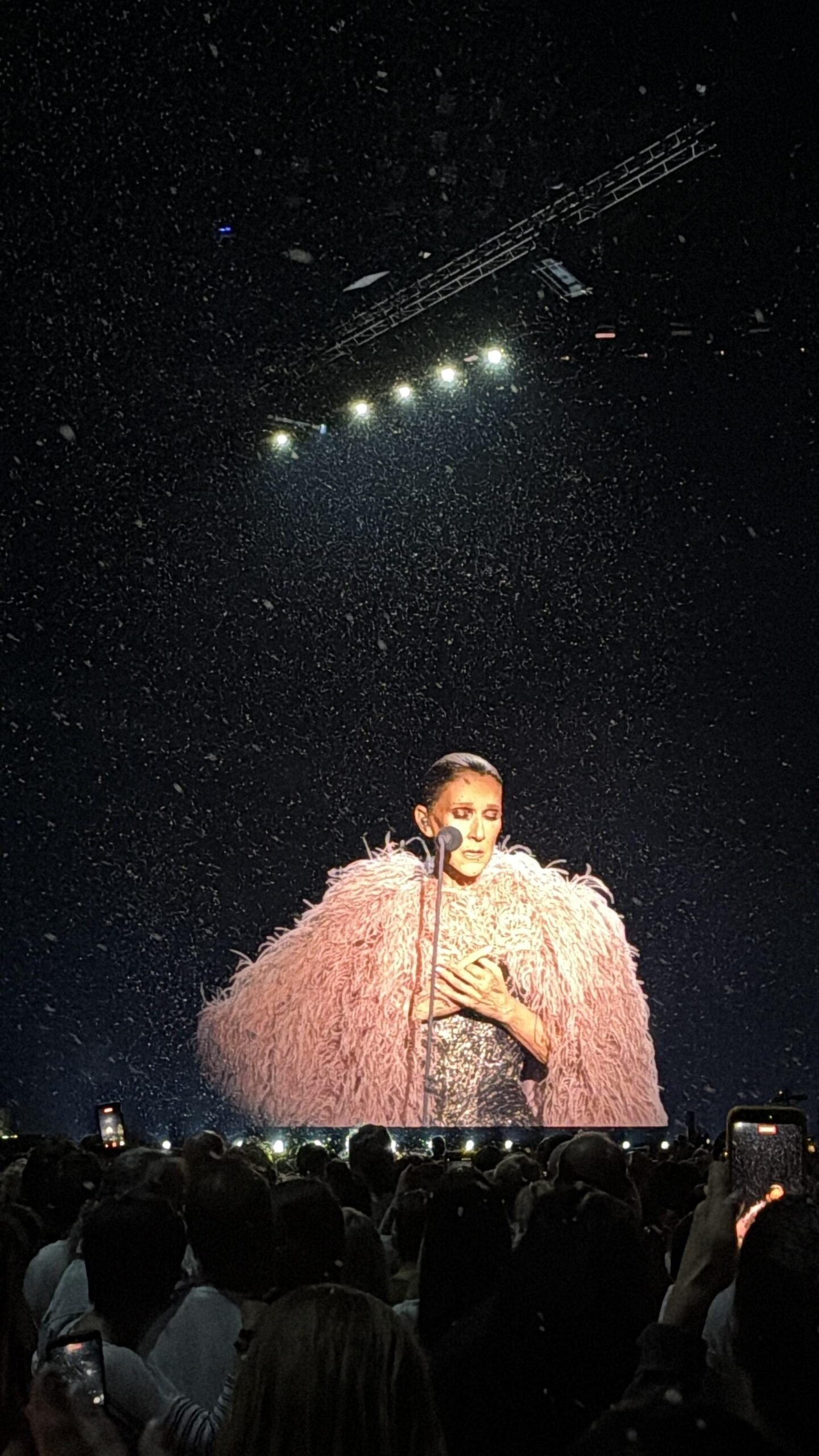 Céline Dion performing in Paris, October 2026