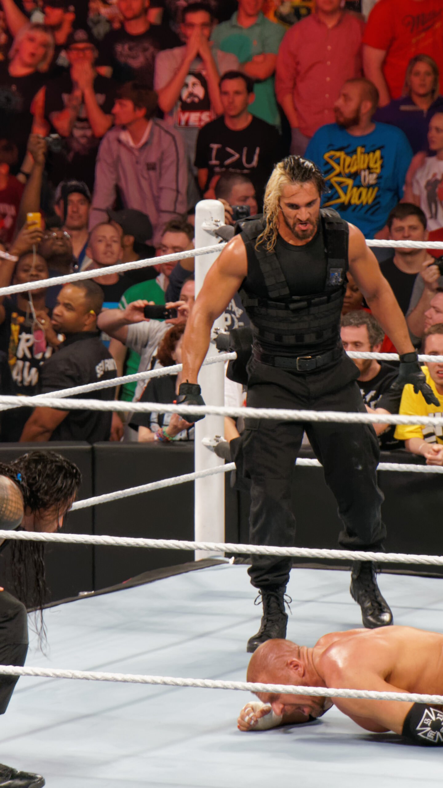 Roman Reigns in 2014