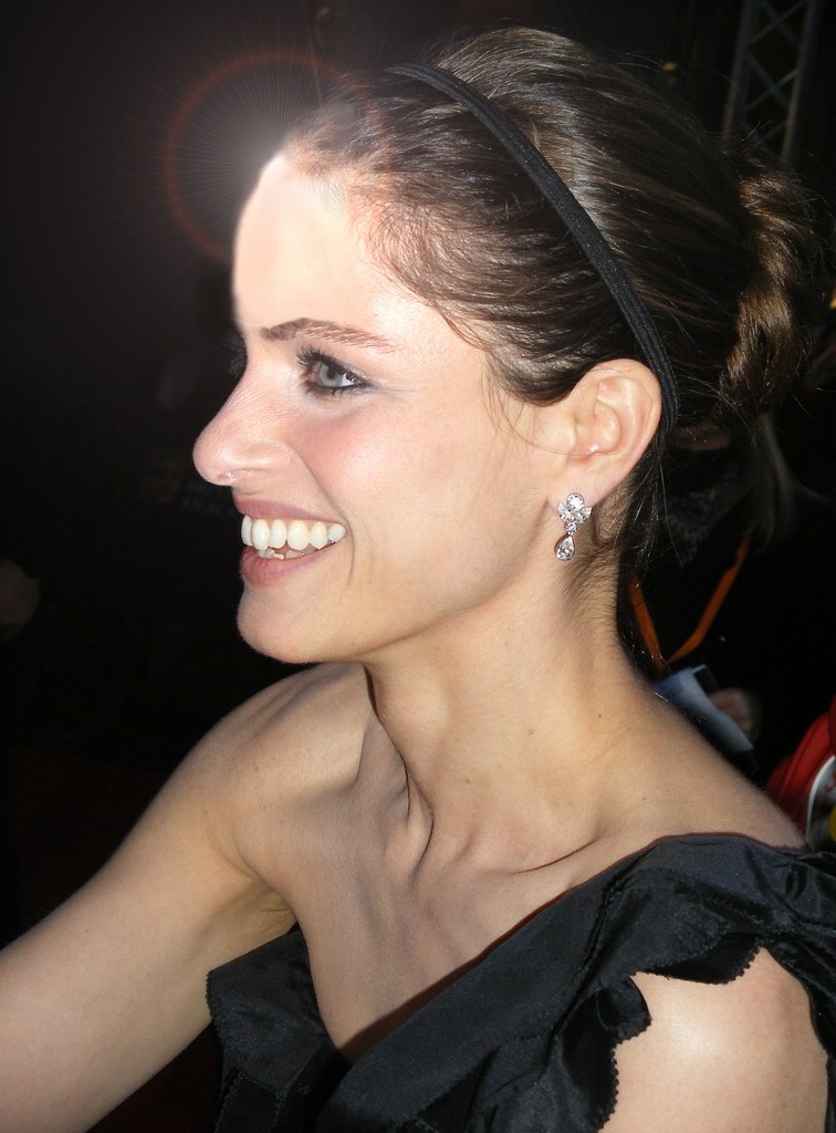 Amanda Peet in 2008